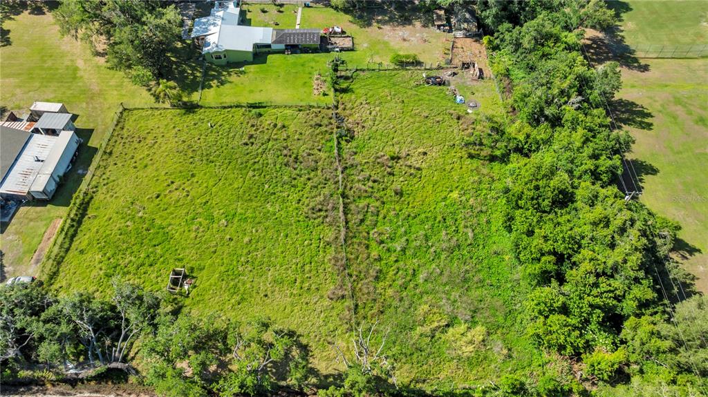 13610 Acker Road Dover, FL 33527 - Photo 6 of 53 a view of a yard with plants and large trees