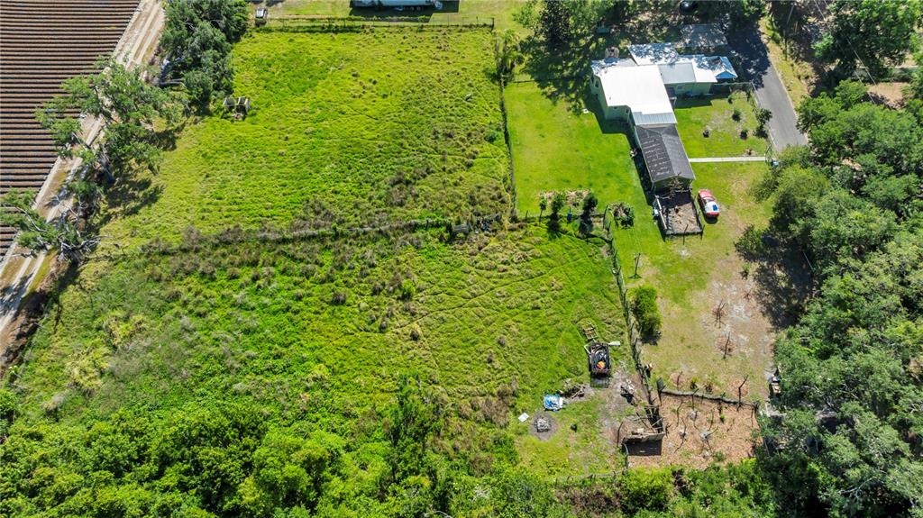 13610 Acker Road Dover, FL 33527 - Photo 8 of 53 a green field with lots of trees
