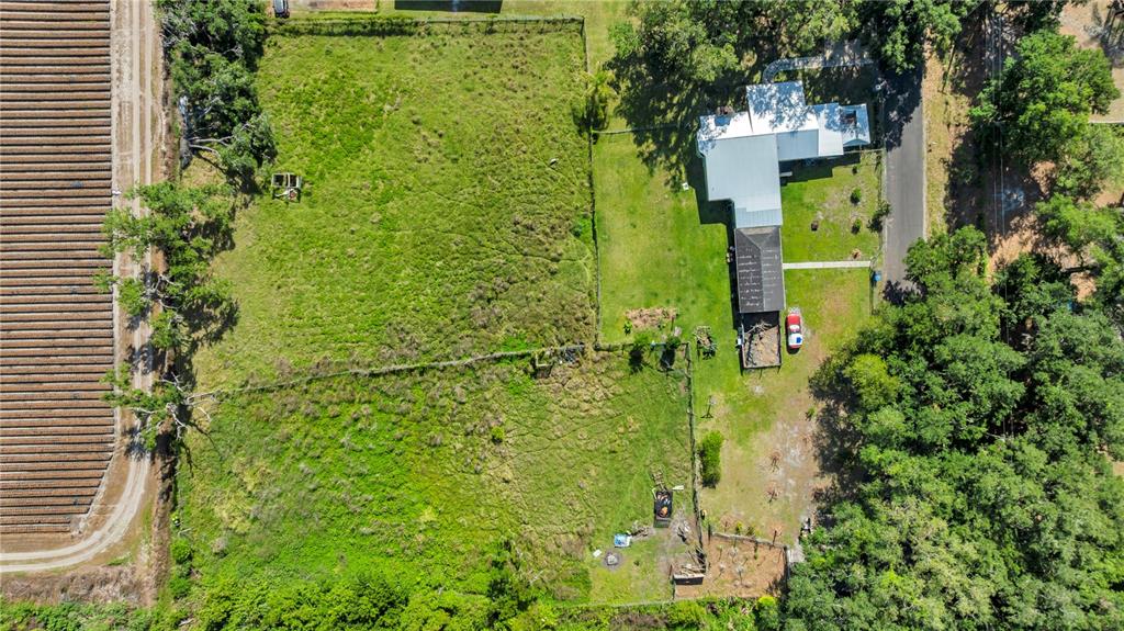 13610 Acker Road Dover, FL 33527 - Photo 10 of 53 a green field with trees in the background