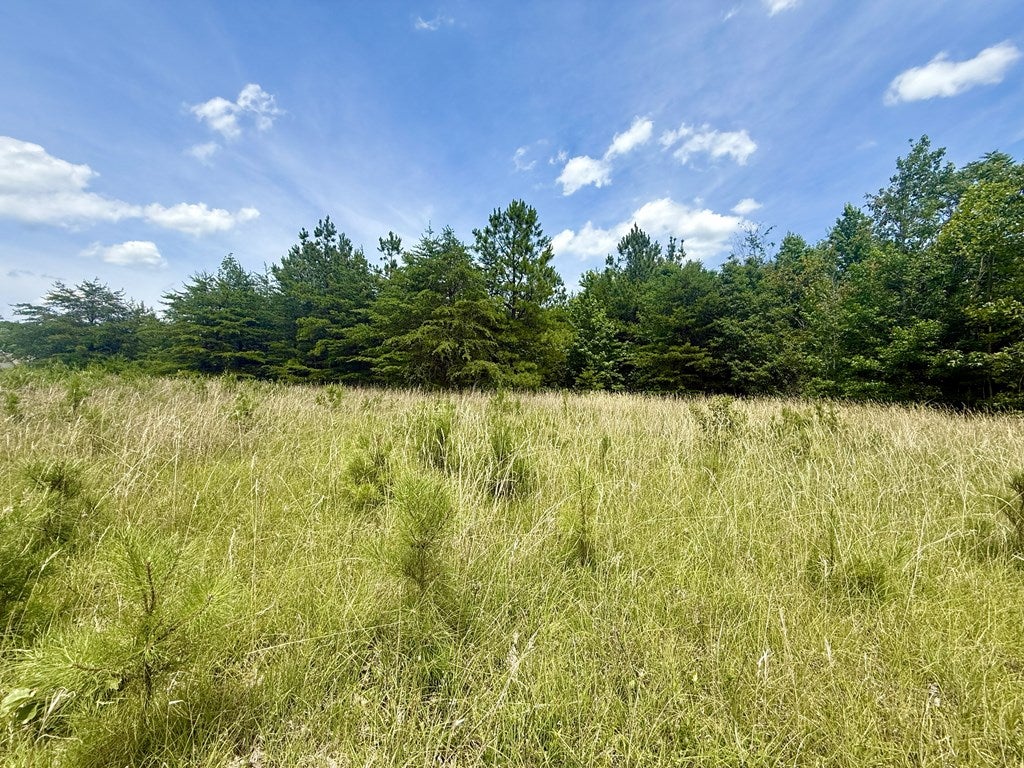 Whispering Wood Road, Unit 25 Meherrin, VA 23954 - Photo 5 of 13 Gallery Image 5