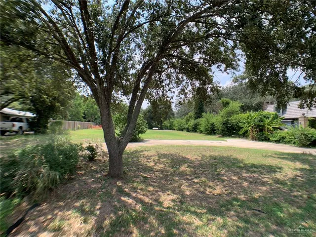 a view of backyard with large trees
