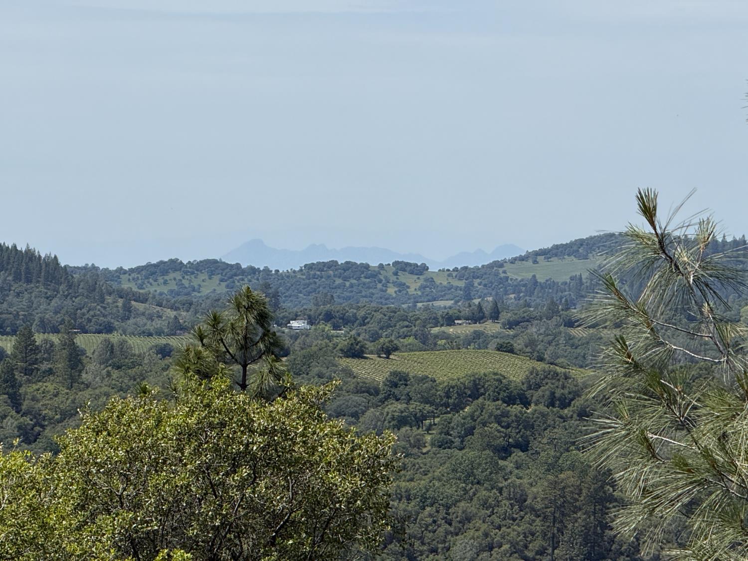 12911 Long Valley Road Penn Valley, CA 95946 - Photo 29 of 35 a view of a dry field
