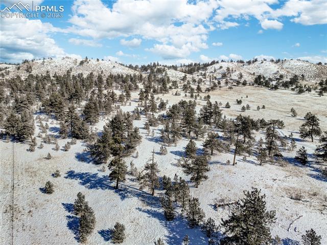 841 Jefferson Road Hartsel, CO 80449 - Photo 19 of 26