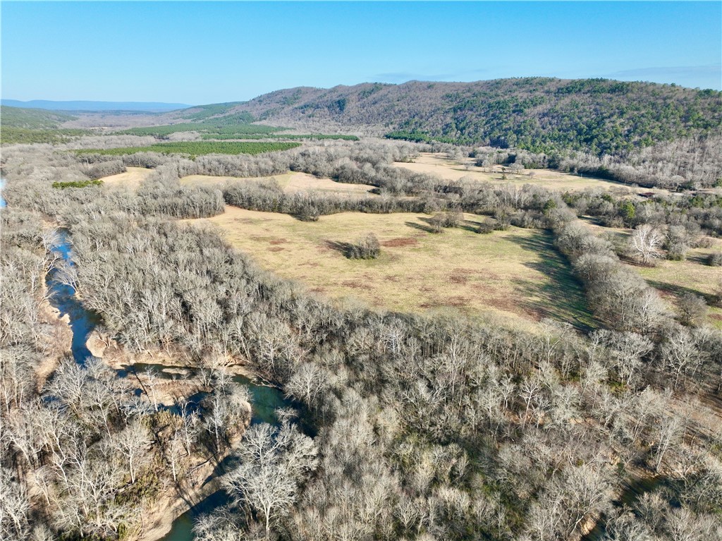 Mountain view featuring a heavily wooded area