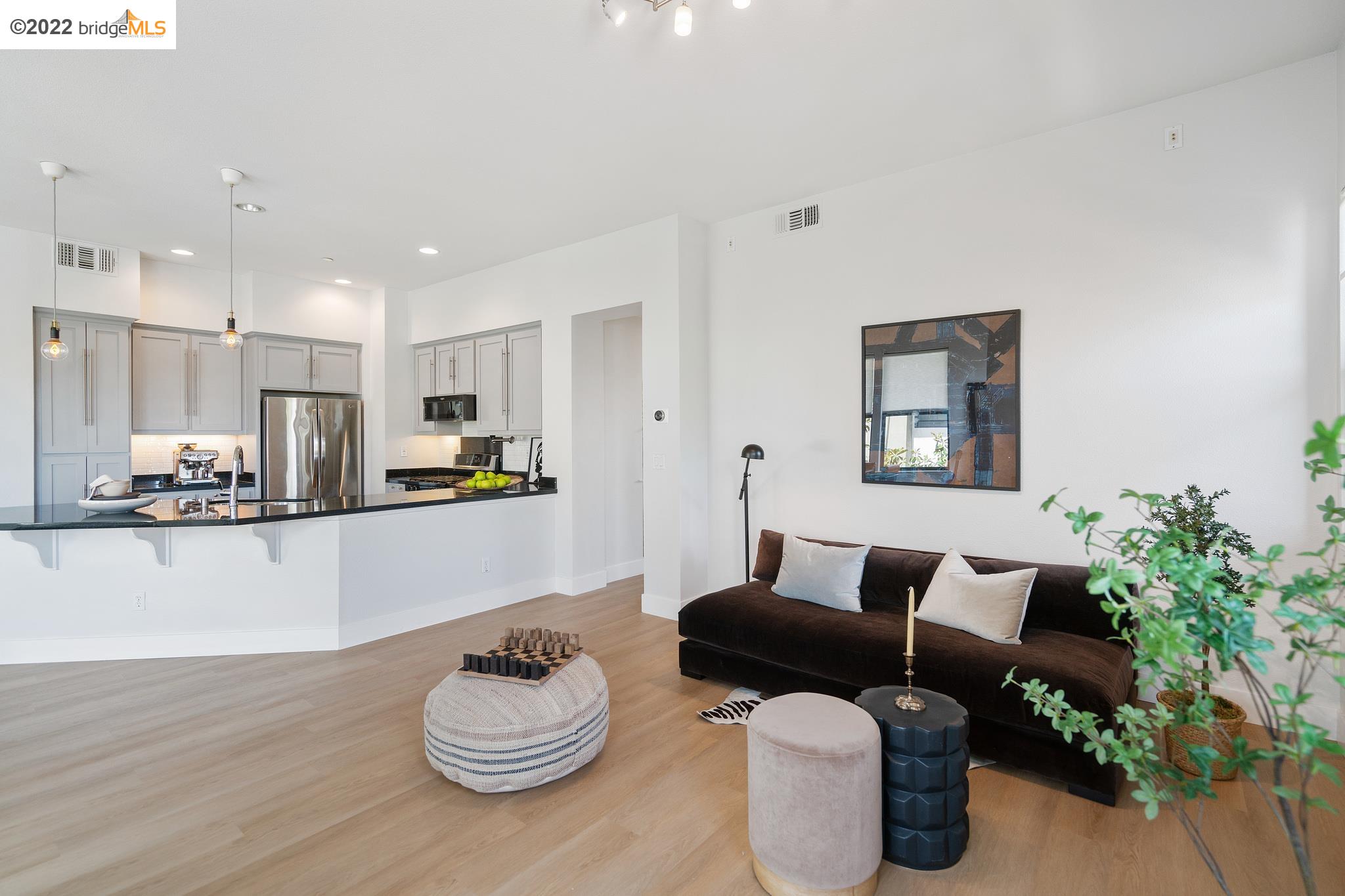 a living room with furniture and a potted plant
