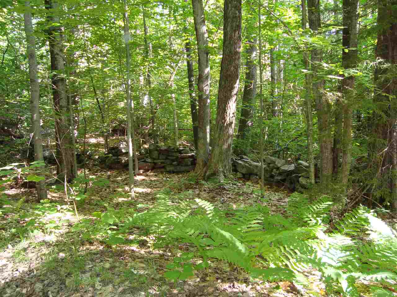 0 Connecticut Heights Road South Acworth, NH 03607 - Photo 1 of 1