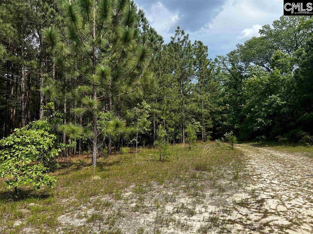 410 Boy Scout Road Gaston, SC 29053 - Photo 4 of 4