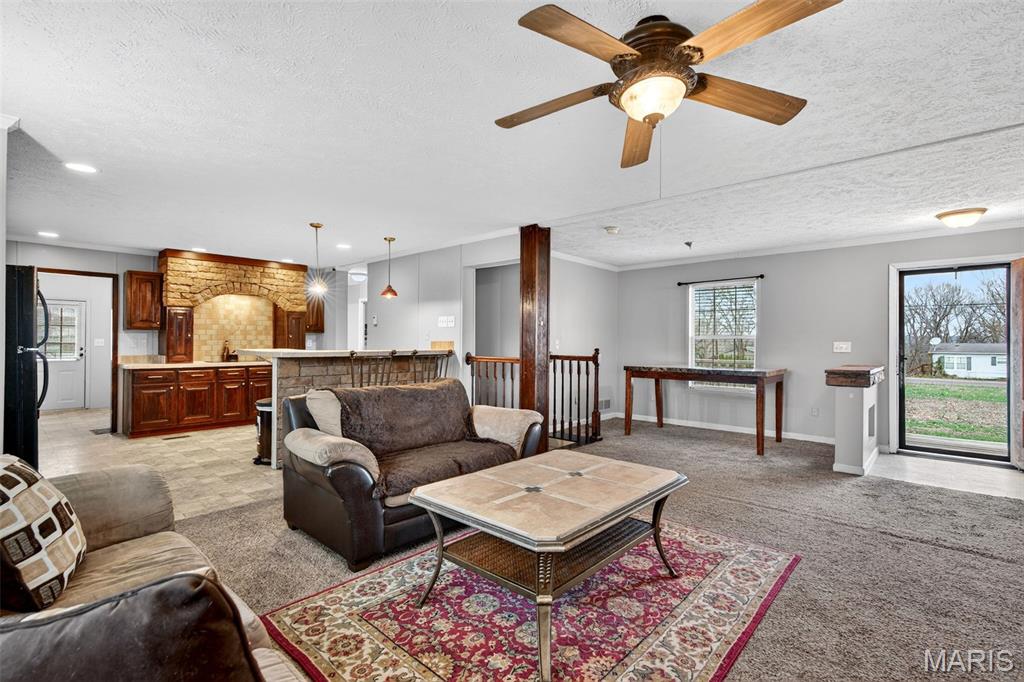 3686 State Rd Z Hillsboro, MO 63050 - Photo 22 of 59