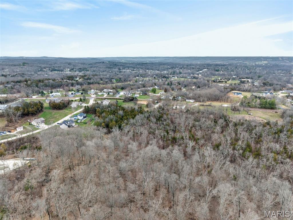 3686 State Rd Z Hillsboro, MO 63050 - Photo 6 of 59