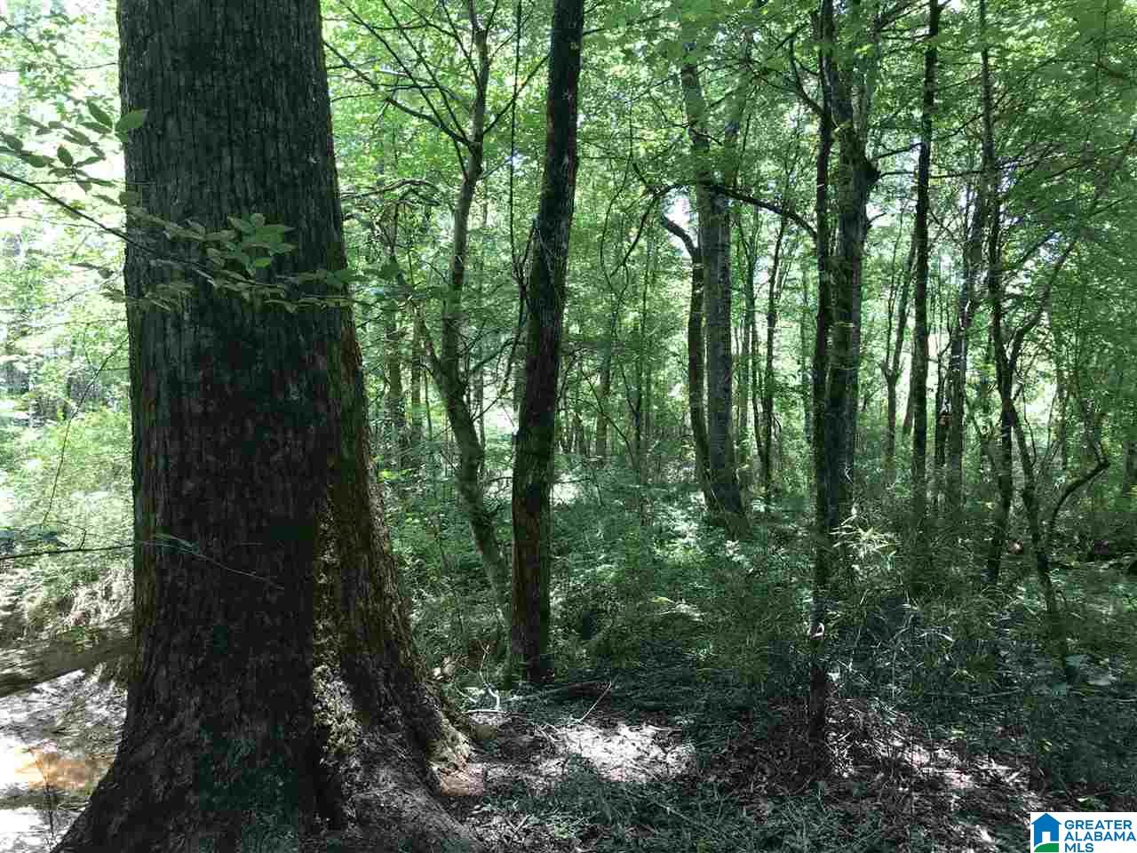 0 Highway 59 Vincent, AL 35178 - Photo 8 of 10