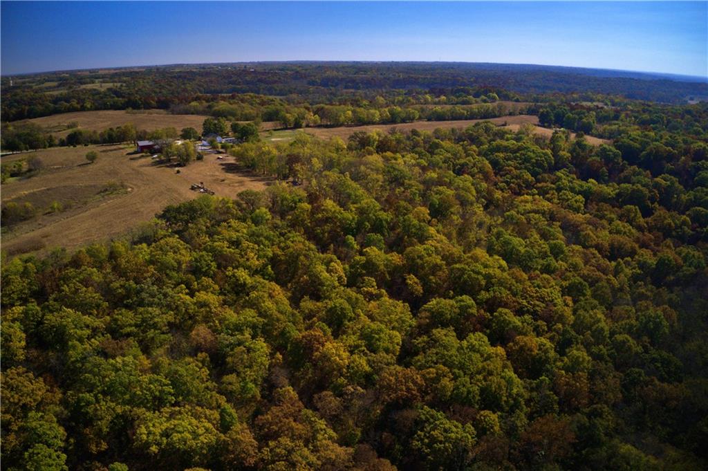 19904 Rattlesnake Road Richmond, MO 64085 - Photo 23 of 99 Gallery Image 23