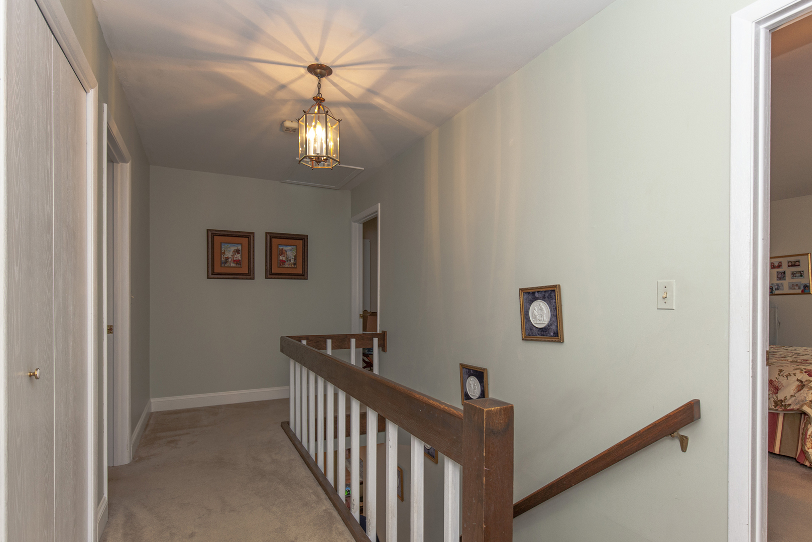 973 West Bauer Road Naperville, IL 60563 - Photo 15 of 27