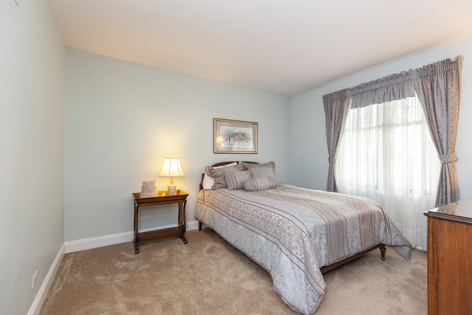 973 West Bauer Road Naperville, IL 60563 - Photo 22 of 27