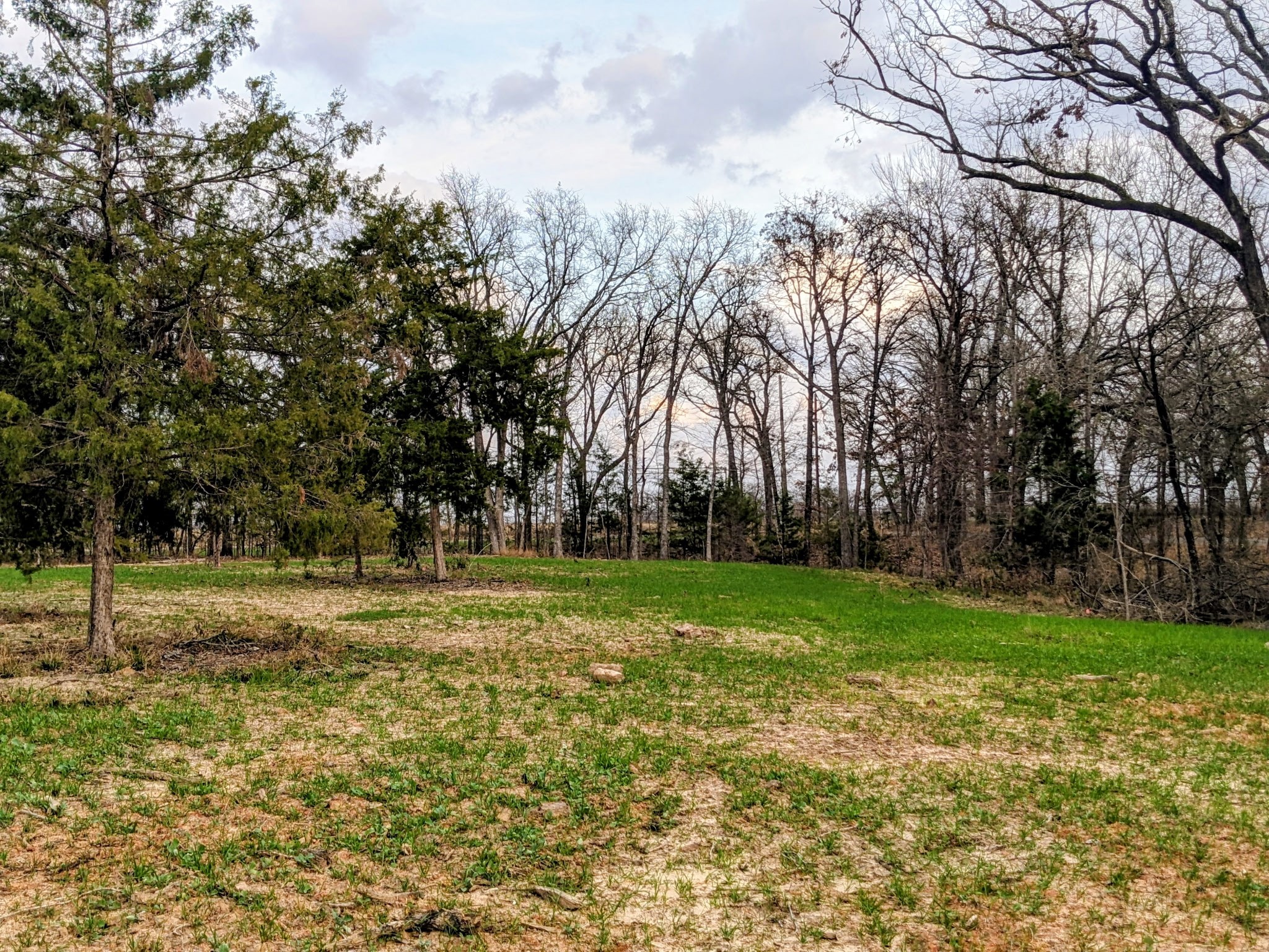 3115 Rains County Road 2610 Alba, TX 75410 - Photo 36 of 50
