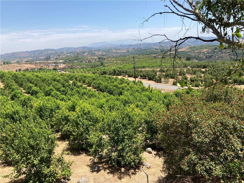39 Carancho Road Temecula, CA 92590 - Photo 11 of 11 a view of a yard