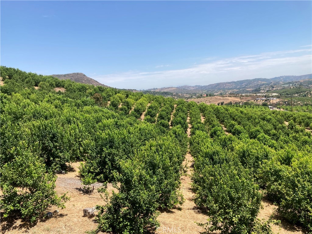 39 Carancho Road Temecula, CA 92590 - Photo 2 of 11 a view of a city with lush green forest