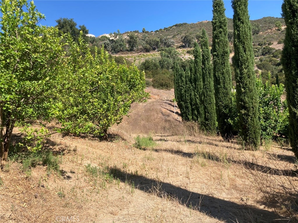 39 Carancho Road Temecula, CA 92590 - Photo 8 of 11 a view of a yard with wooden fence