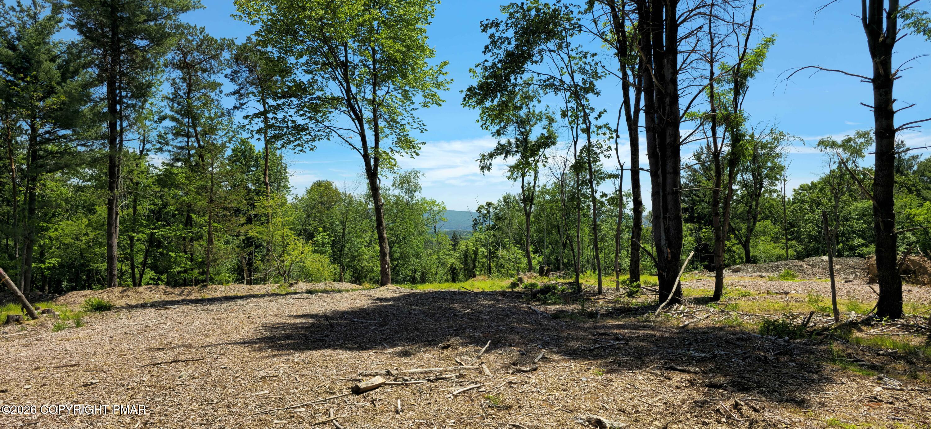 Lot 11 Sawmill Road Stroudsburg, PA 18360 - Photo 4 of 4 222 (2)