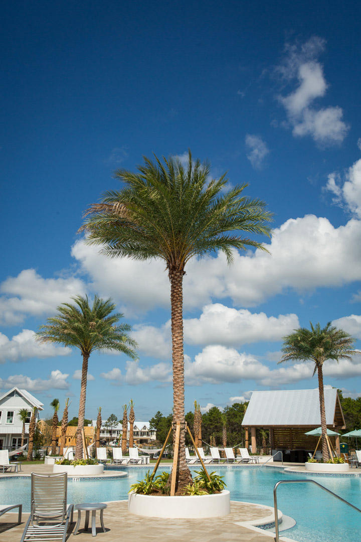 120 East Pine Lands Loop, Unit B Inlet Beach, FL 32461 - Photo 36 of 36