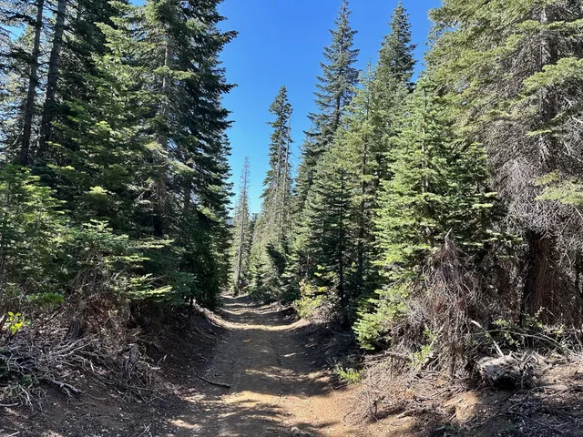 a view of a water fountain in front of a house