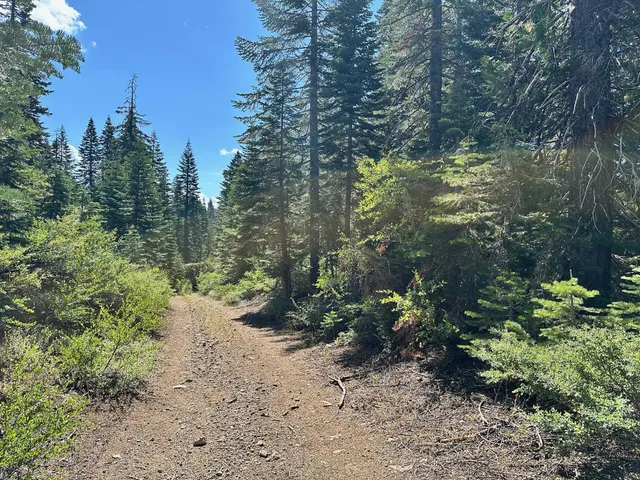a street sign on a pole