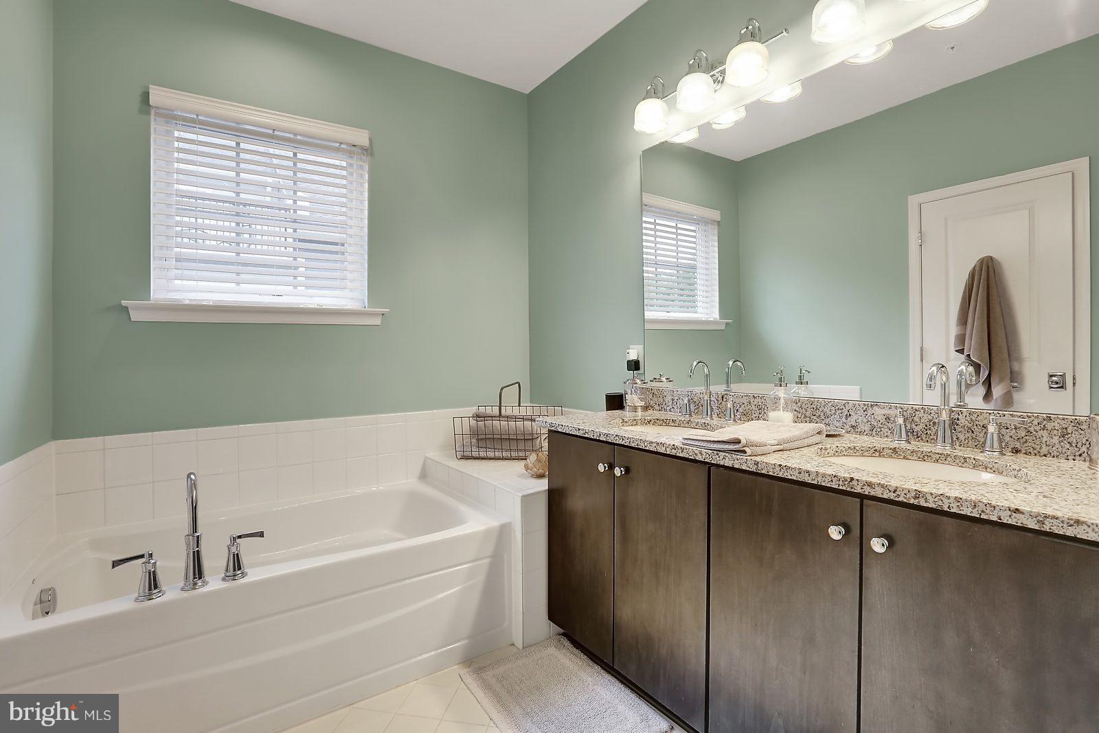 6035 Maple Hill Road Ellicott City, MD 21043 - Photo 18 of 30 Bath (Master)