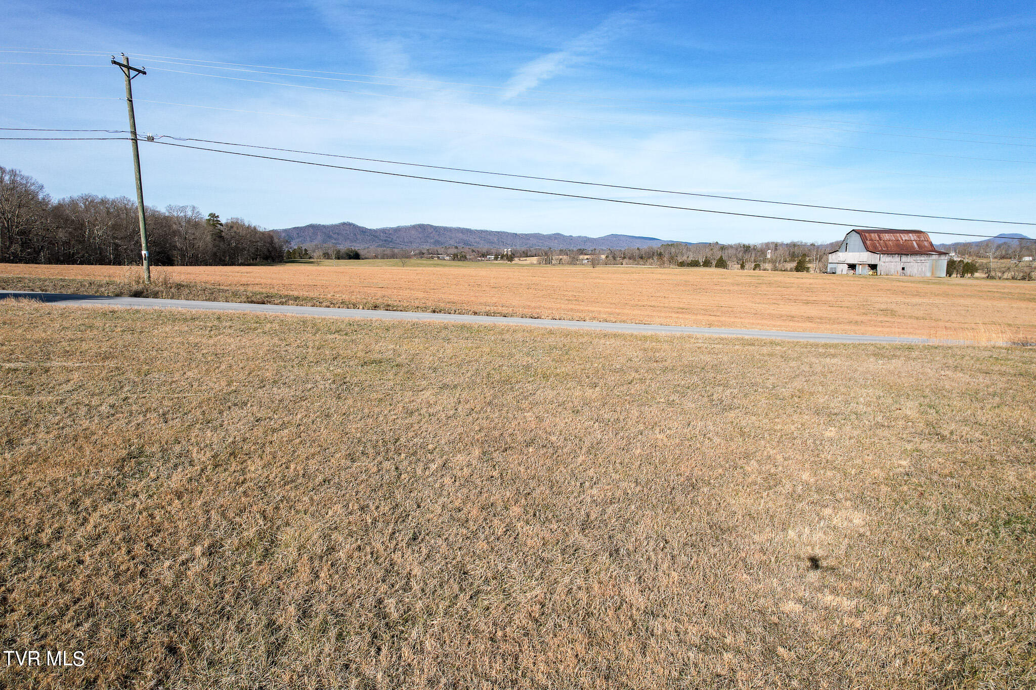 8.3-ac Flatwoods Road Mosheim, TN 37818 - Photo 8 of 17 8