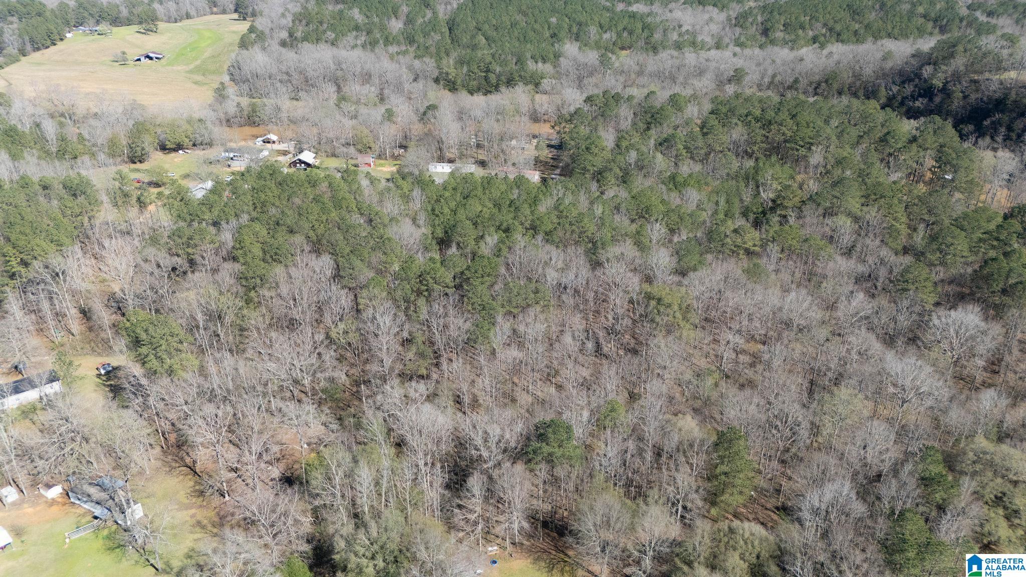 29 North Northview Circle, Unit 29 Northport, AL 35475 - Photo 11 of 16