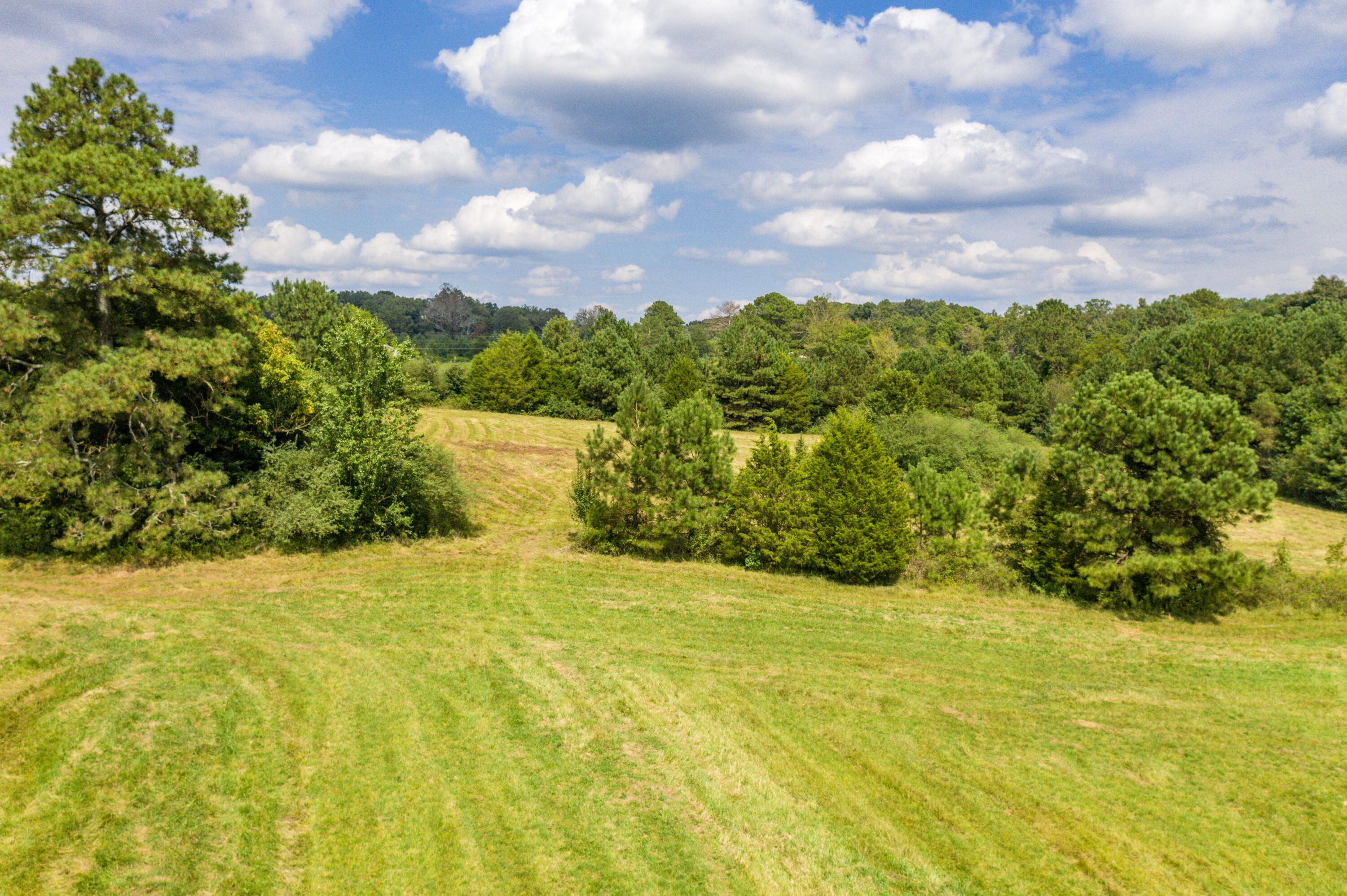 467 Humbard Road Southeast Cleveland, TN 37323 - Photo 13 of 21 13-DJI_0372