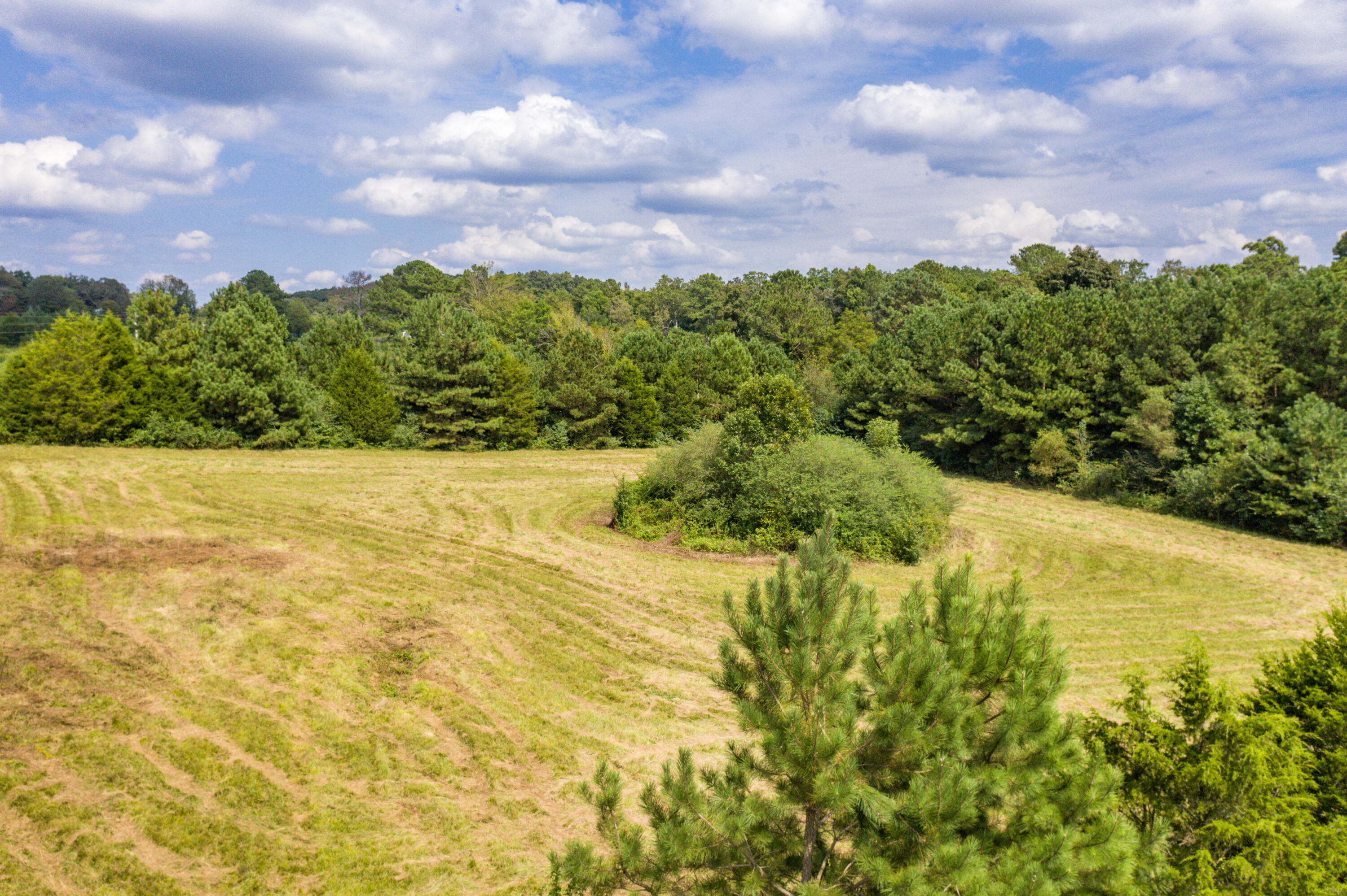 467 Humbard Road Southeast Cleveland, TN 37323 - Photo 14 of 21 14-DJI_0373