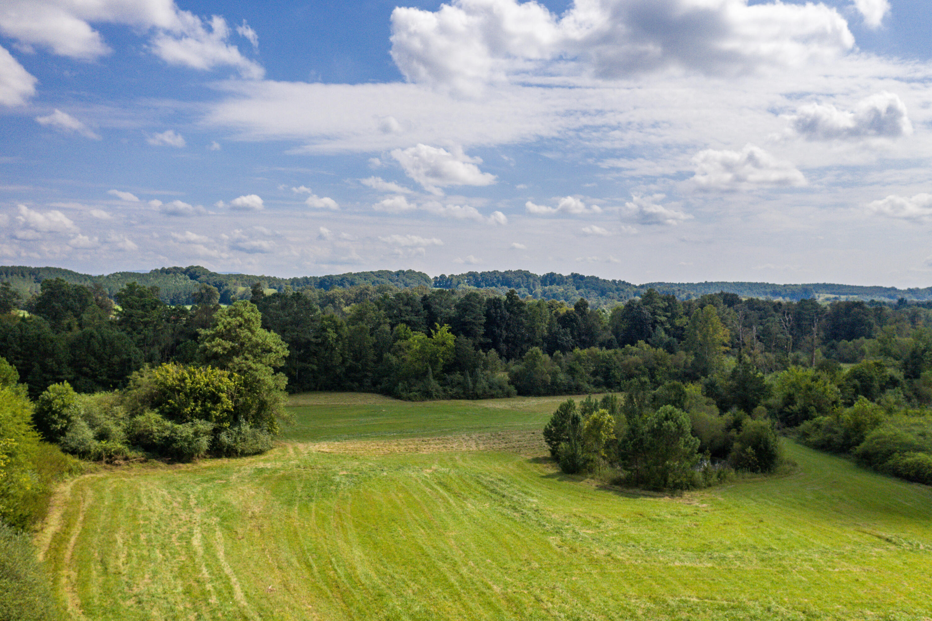 467 Humbard Road Southeast Cleveland, TN 37323 - Photo 2 of 21 2-DJI_0353