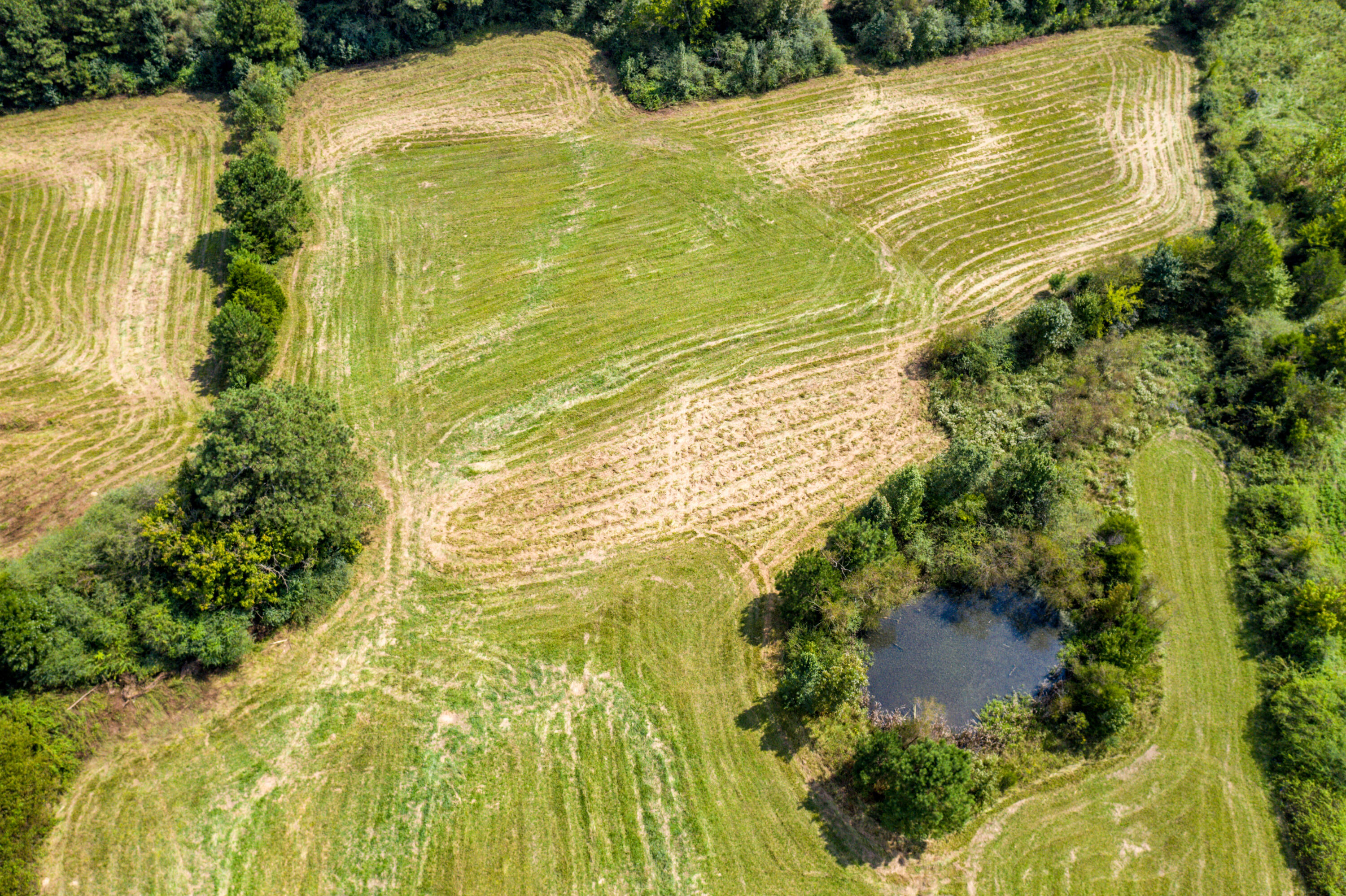 467 Humbard Road Southeast Cleveland, TN 37323 - Photo 3 of 21 3-DJI_0365