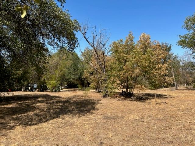 a view of dirt yard with a large tree