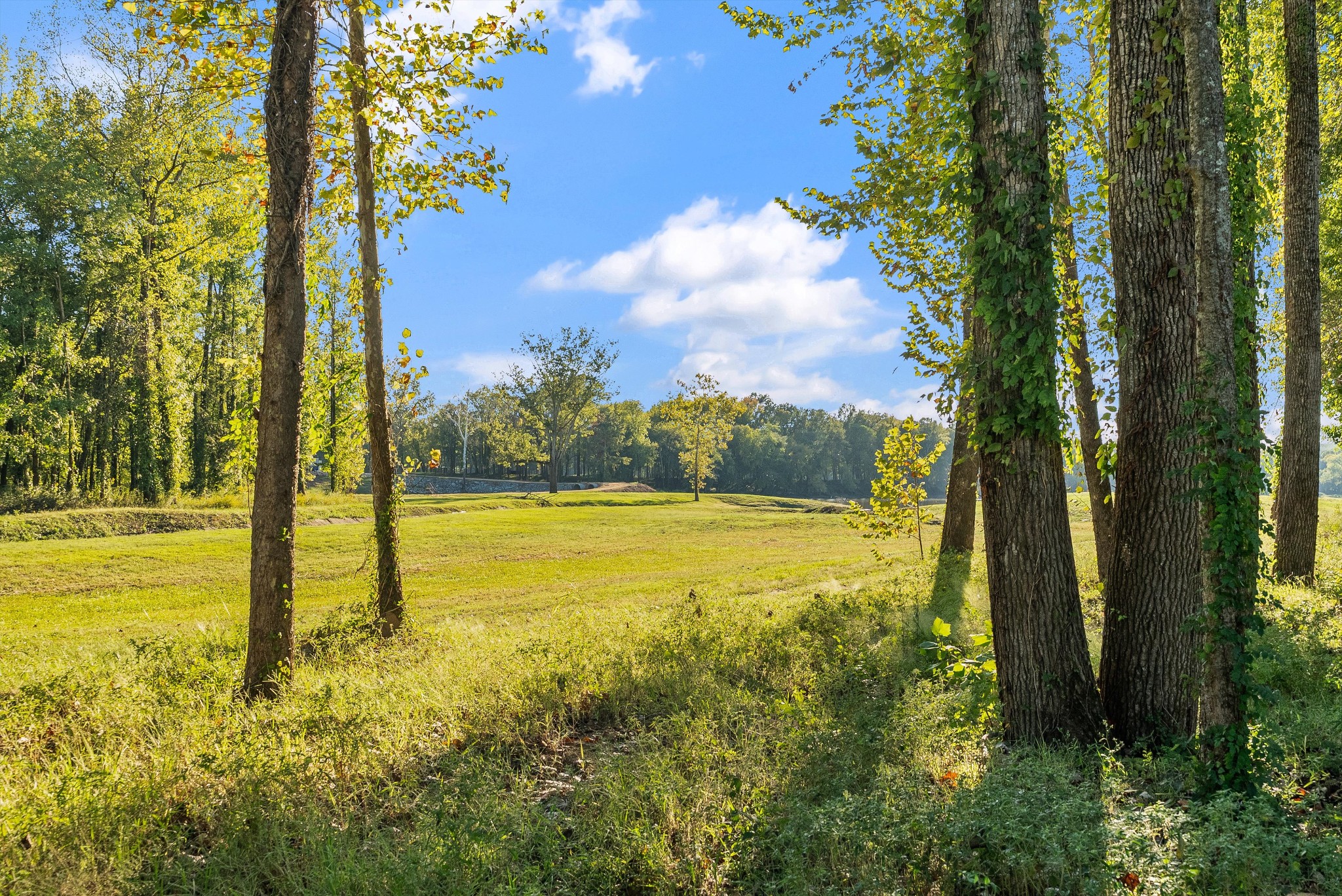 2521 Old Ferry Road Bath Springs, TN 38311 - Photo 11 of 100