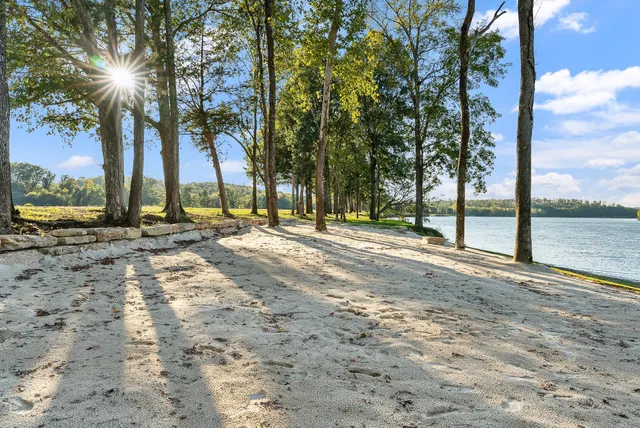a view of a yard with large trees