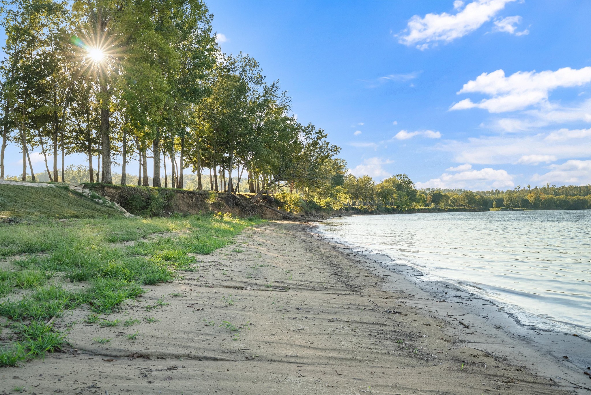 2521 Old Ferry Road Bath Springs, TN 38311 - Photo 18 of 100