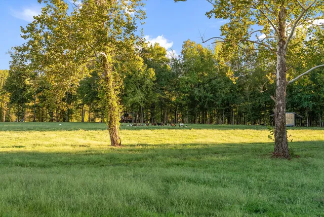 a view of an ocean and city