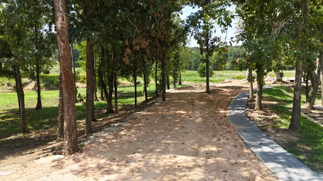 a close up of a plant in a garden