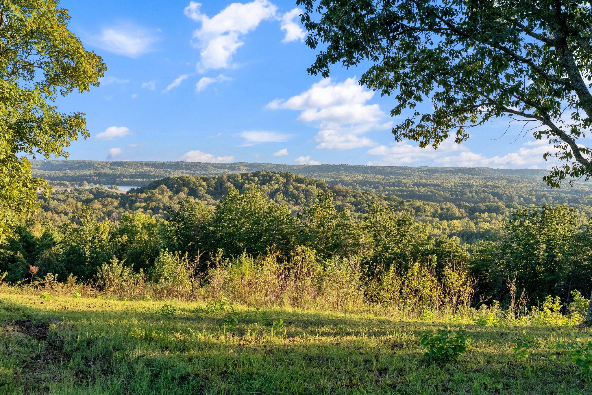 2521 Old Ferry Road Bath Springs, TN 38311 - Photo 37 of 100