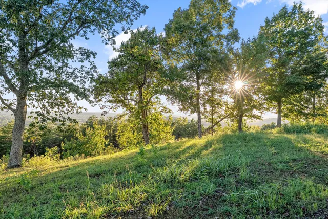 an aerial view of residential houses with outdoor space and lake view