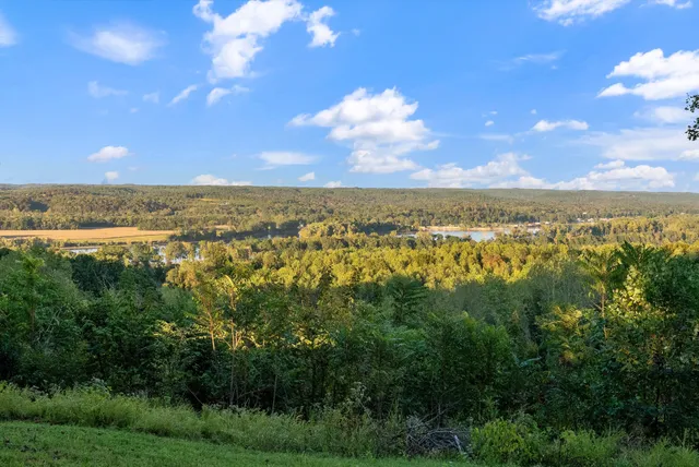 a yard with lots of green space and fog