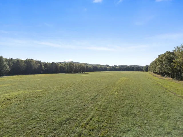 a view of a lake in middle of forest