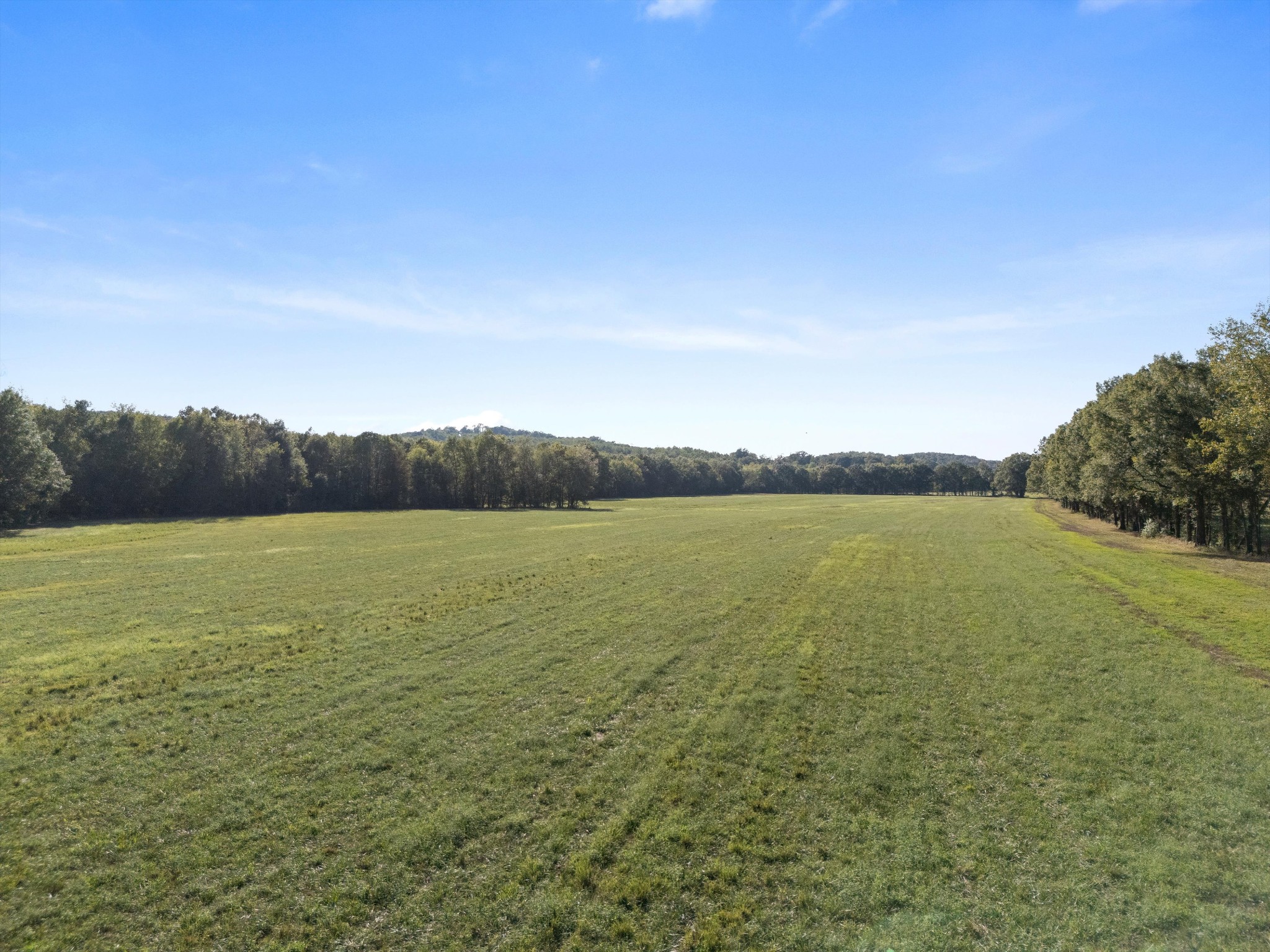 2521 Old Ferry Road Bath Springs, TN 38311 - Photo 44 of 100