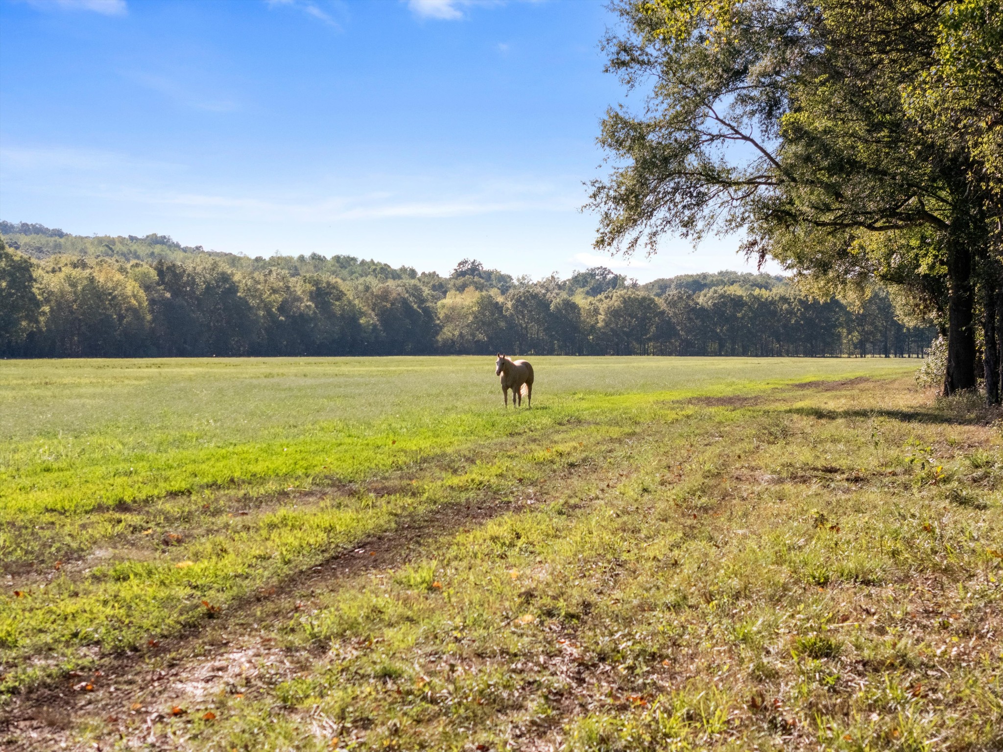 2521 Old Ferry Road Bath Springs, TN 38311 - Photo 45 of 100