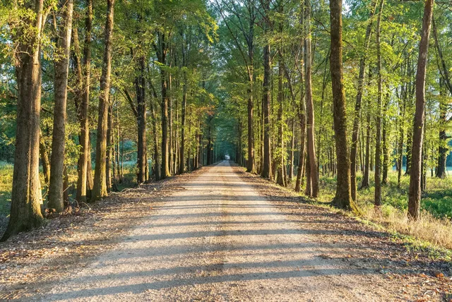 a view of a yard with swimming pool