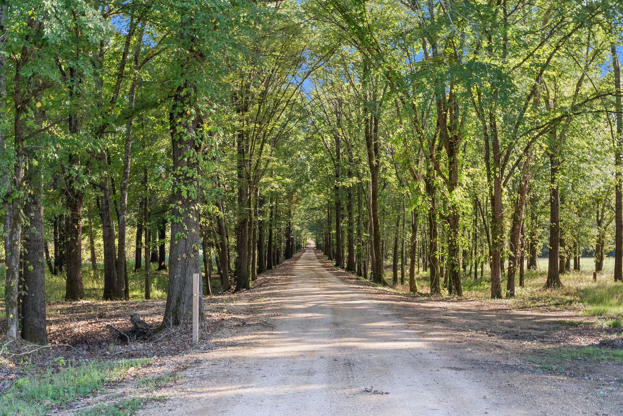 2521 Old Ferry Road Bath Springs, TN 38311 - Photo 48 of 100
