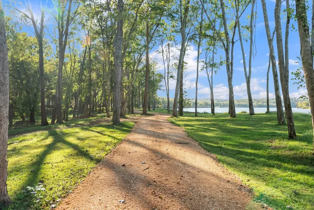 a view of yard and ocean