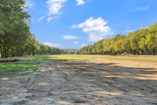 an aerial view of a residential houses with green space