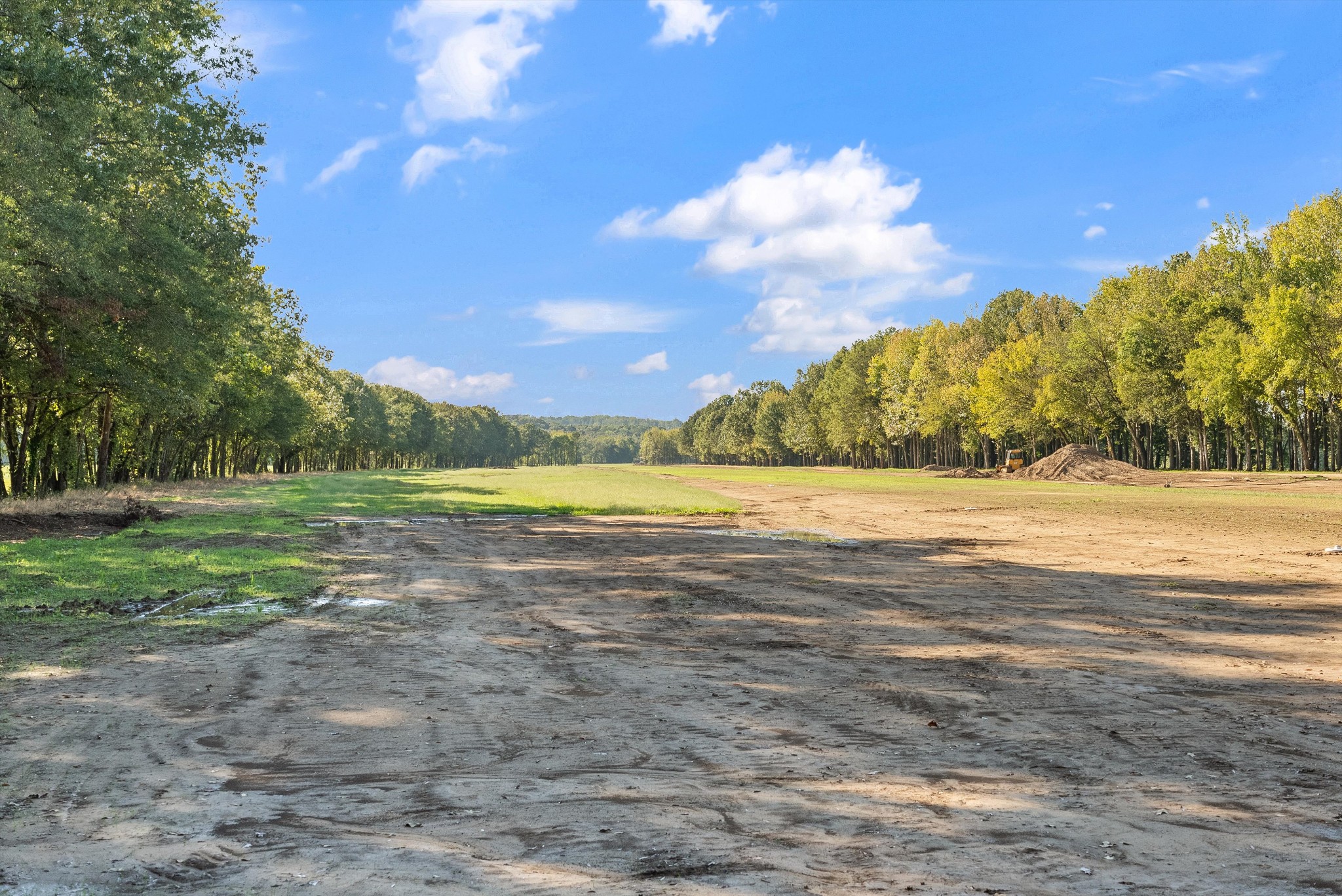 2521 Old Ferry Road Bath Springs, TN 38311 - Photo 51 of 100