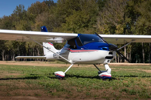 a close up of a tree